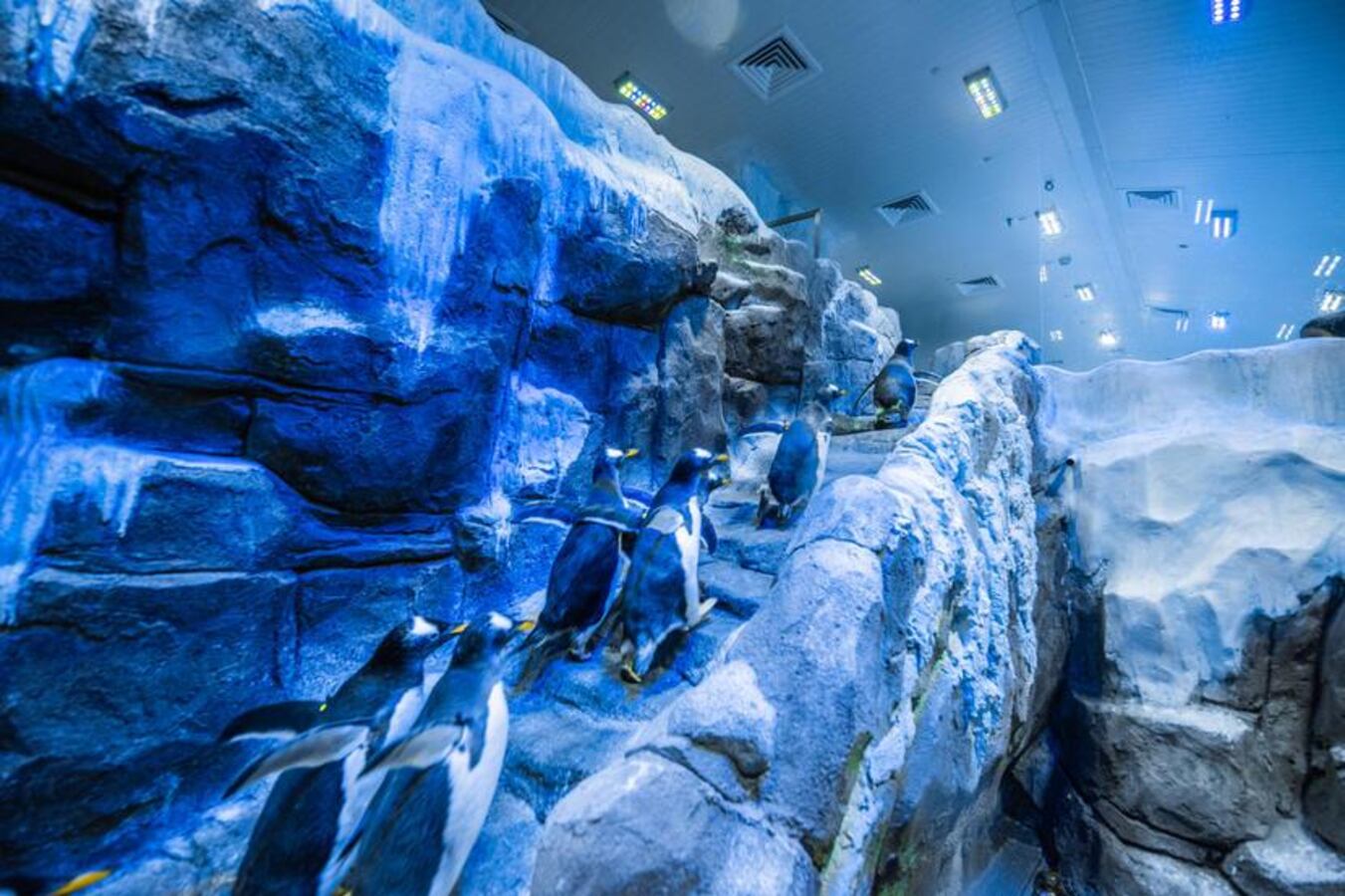 

<!-- THEME DEBUG -->
<!-- THEME HOOK: 'field' -->
<!-- FILE NAME SUGGESTIONS:
   ▪️ field--node--title--project.html.twig
   ✅ field--node--title.html.twig
   ▪️ field--node--project.html.twig
   ▪️ field--title.html.twig
   ▪️ field--string.html.twig
   ▪️ field.html.twig
-->
<!-- BEGIN OUTPUT from 'themes/contrib/bootstrap_barrio/templates/field/field--node--title.html.twig' -->
<span class=